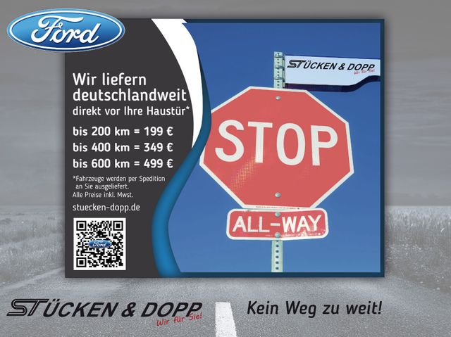 Ford MATIST FAMILY XL 5 Sitzplätze & 4 Schlafplätze