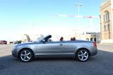 Audi A4 Cabriolet 2.5 V6 TDI cat - Audi A4: Cabrio, 2.5