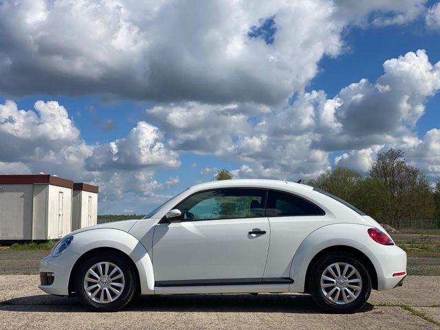 Volkswagen VW Beetle 1,2 TSI guter Zustand