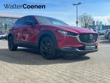 Mazda CX-30 SKYACTIV 2.0 HOMURA SHZ+PDC+el.Heckklappe - Mazda CX-30: Homura