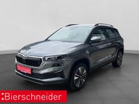 Skoda Karoq - Vorschau Bild 1