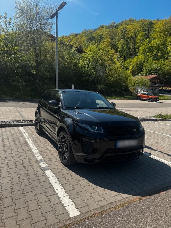 Image of Other Other