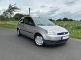 Ford Fiesta | 1.3l 60 PS | TÜV 11/2026 | G... - Ford Fiesta aus 2004: 1.6