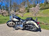Harley-Davidson Heritage Softail FLSTC - Offers matching your search criteria