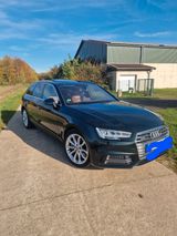Audi A4 50 TDI tiptronic quattro Avant - - Audi A4 mit Diesel-Antrieb: Kombi, 5tdi