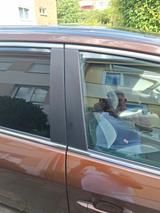 Toyota Avensis 2,0-l-D-4D Executive Touring Sports ... - Toyota Avensis: D4d
