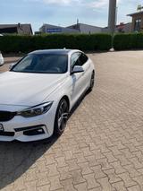 BMW 435 Gran Coupé 435d xDrive Gran Coupé M Spor... - BMW 435 Gran Coupé