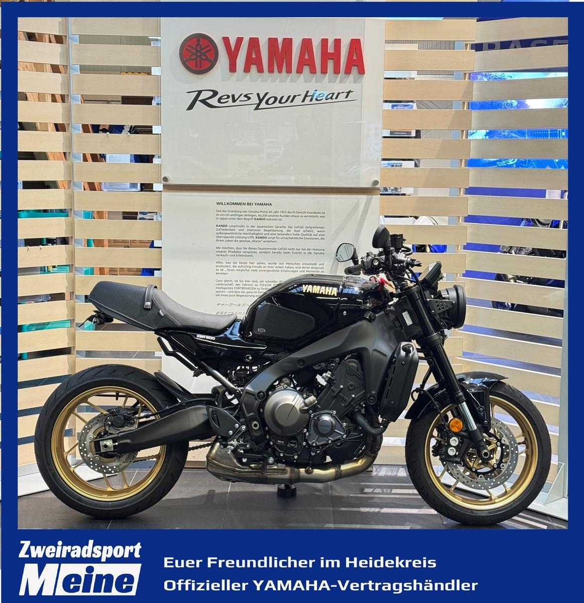 Yamaha XSR900 2025 mit Gilles und Miniheck
