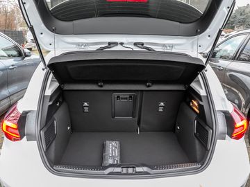 Ford Focus Active 1.0 X Parkautomatik Navi B&O LED