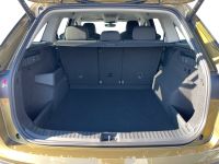 Skoda Kodiaq - Vorschau Bild 6