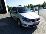 Skoda Fabia Drive 1.2TSI 81KW DSG RFK PDC  AHK - Skoda Fabia: R2