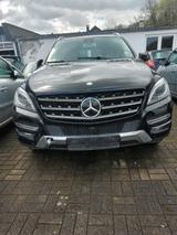 Mercedes-Benz Mercedes 350 Bluetec 4 MATIC - Mercedes-Benz S 350 mit Diesel-Antrieb: Geländewagen, Automatik