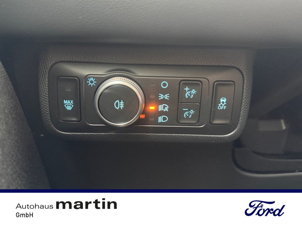 Fahrzeugabbildung Ford Mustang MACH-E Extended Range ACC LED PANO 360°