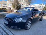 Volkswagen Eos 1.4 Cup Edition - Volkswagen Eos: Cup