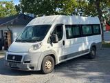 Fiat Ducato MAXI LANG  9 SITZER /RAMPE - Fiat: Kleinbus, 9 Sitzer