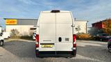 Fiat Ducato Kasten Maxi L4H3*KLIMA*CAM*LED*ACC*GANZJ - Diesel Gebrauchtwagen in Kiel