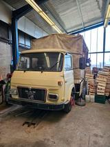Andere LKW Betreuungslastkraftwagen MAN 7.90 Savi... - Andere: Lkw