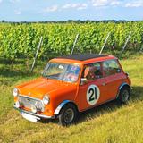 MINI 1000 MKll - MINI 1000 mit 3 Türen