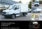 Mercedes-Benz Sprinter 313 CDI Kühlkoffer 1,5C° Frischedienst - gebrauchte Mercedes-Benz Sprinter aus dem Jahr 2009