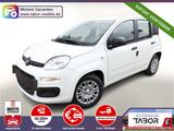 Fiat Panda MHEV 5"-DAB 5-Sitzer PDC DigCo UVP-30%* - Fiat Panda: Sitzer