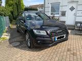 Audi SQ5 3.0 TDI tiptronic quattro -Black Edition  - Audi SQ5 in Bochum