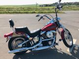 Harley-Davidson FXSTS - Angebote entsprechen Deinen Suchkriterien