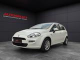 Fiat Punto Pop 1.Hand*E.Servo*Klima*Multi Le.*BC*MSR - Fiat Punto Gebrauchtwagen in Hamburg