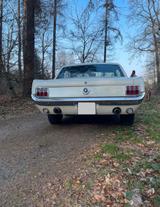 Ford Mustang 1965, 4,7 l V8 , Wimbledon-White - Ford Gebrauchtwagen von 1965