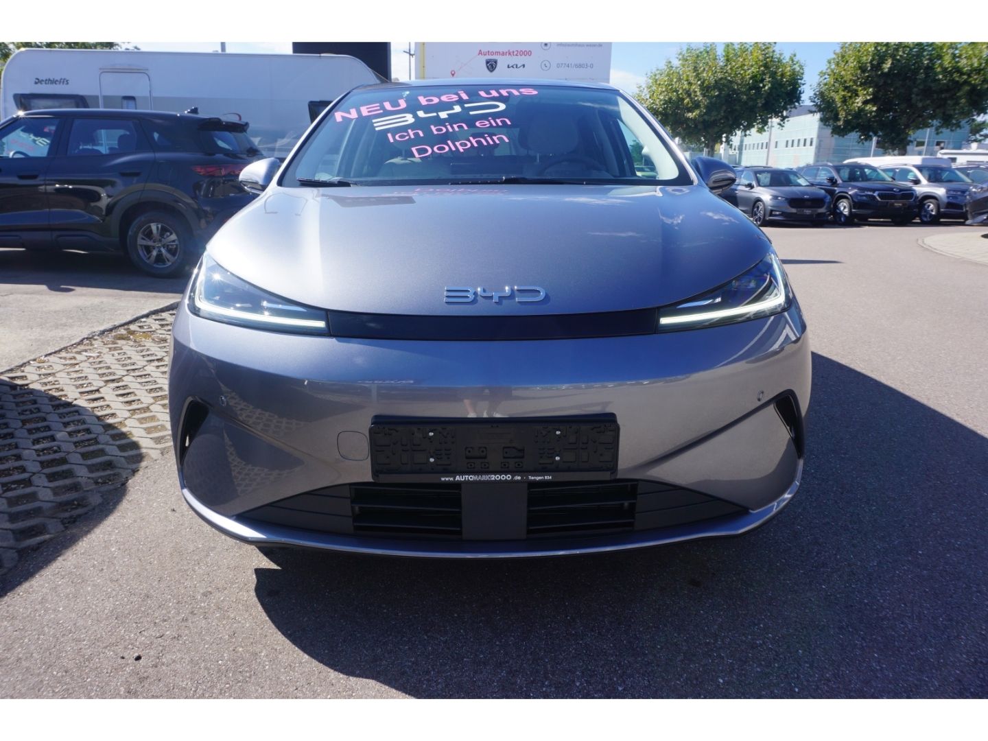 BYD DOLPHIN
