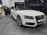Audi S5 Cabriolet 3.0 TFSI quattro - Audi S5 aus 2010