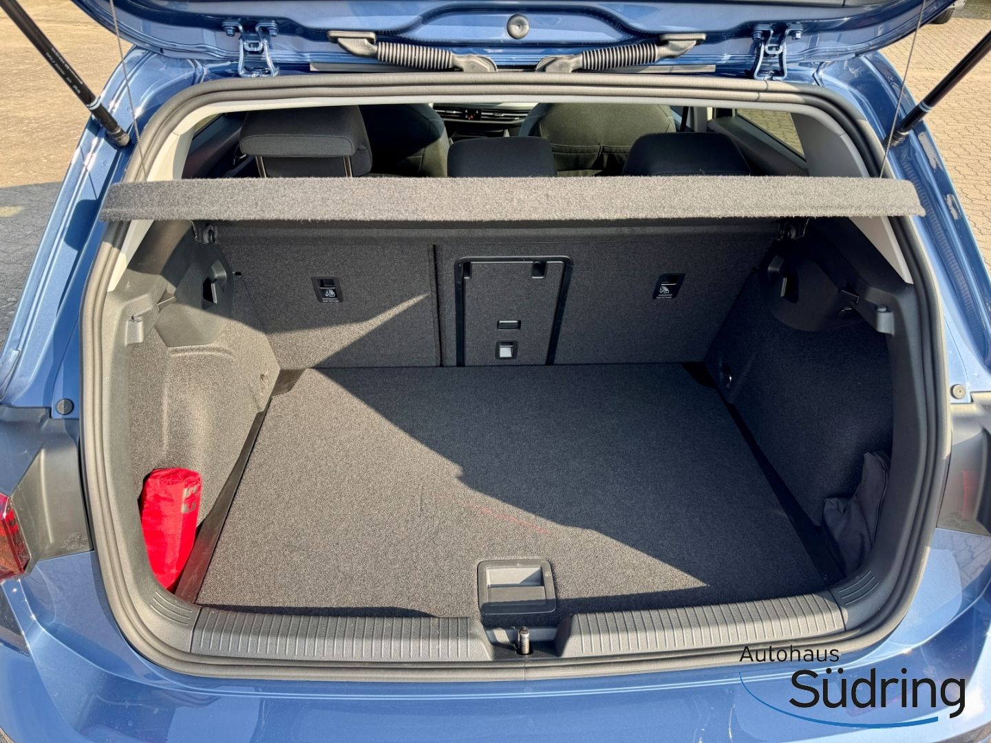 Golf VIII 1,5 TSI Life Panodach ACC AppConnect