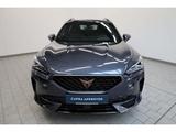 Cupra Formentor 1.5 TSI - Cupra Formentor in Bielefeld