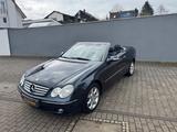 Mercedes-Benz CLK 200 CLK Cabrio CLK 200 Kompressor - gebrauchte Mercedes-Benz CLK 200 aus dem Jahr 2005