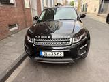 Land Rover Range Rover Evoque 2.0 TD4 110kW Pure Autom.... - Land Rover Range Rover Evoque in Duisburg