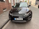 Land Rover Range Rover Evoque 2.0 TD4 110kW Pure Autom.... - Land Rover in Oberhausen