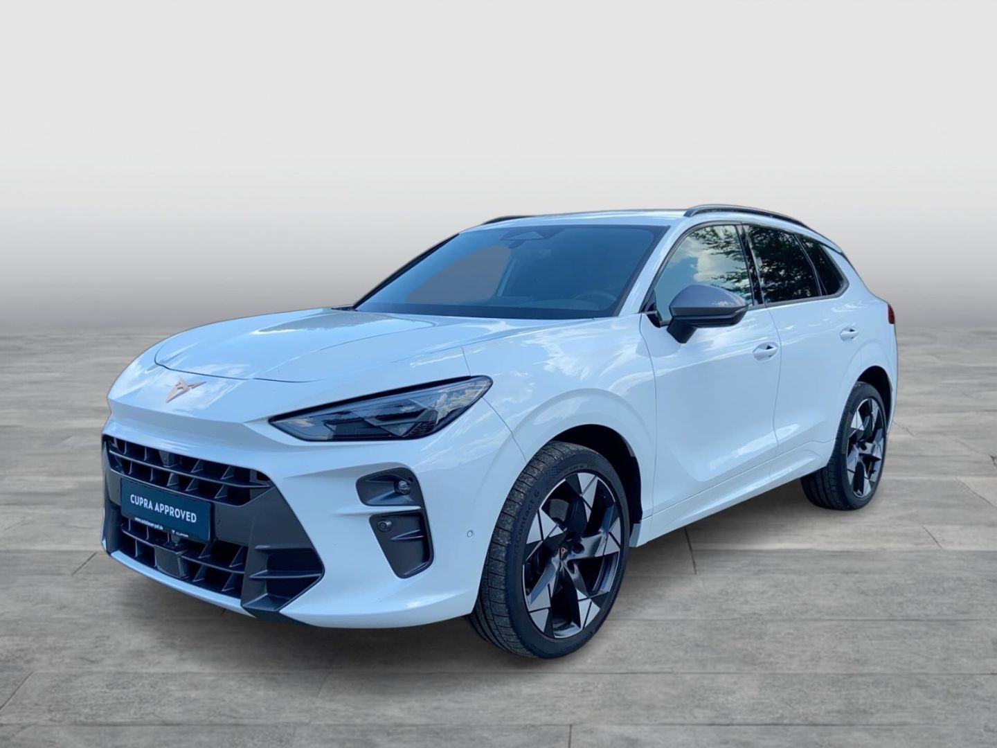 CUPRA Terramar 2.0 TSI 195 kW 4Drive VZ AHK Sennh. Nav