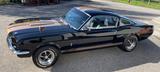 Ford Mustang Fastback GT350H Hertz Edition - Ford Mustang aus 1965: Fastback