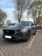 Mazda CX-30 2.0 e-SKYACTIV-G 150 Homura Top-Zustand