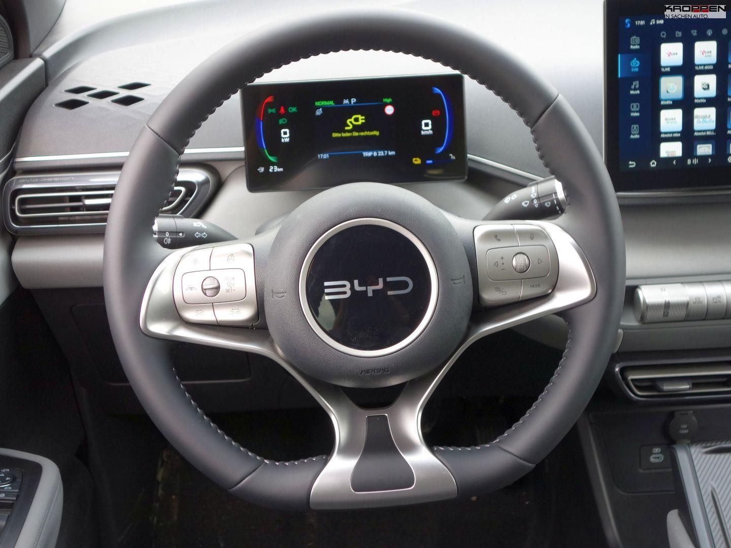 BYD DOLPHIN SURF