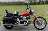 Harley-Davidson FXSTC Softail Evolution - HARLEY-DAVIDSON EVOLUTION