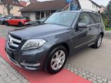 Mercedes-Benz GLK 250 CDI BlueTec 4Matic/AHK - Mercedes-Benz GLK 250: Bluetec