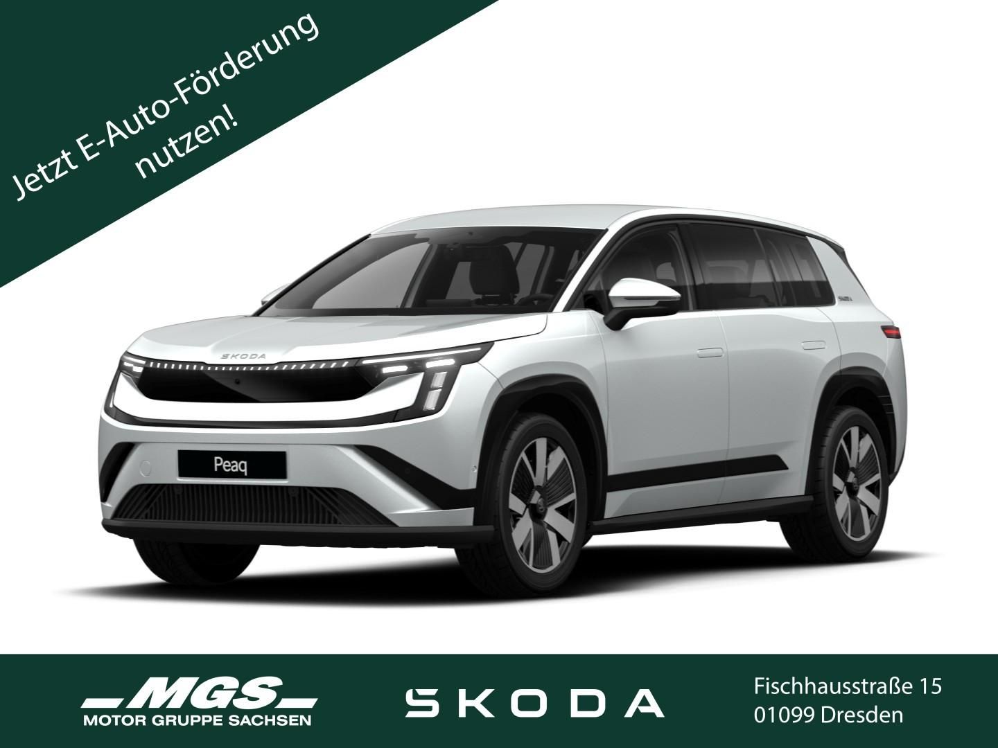 Skoda Andere - Bild 1