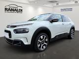 Citroën C4 Cactus Shine++NAVI!++PANO!++WIE NEU!++ - Citroën C4 Cactus: Shine