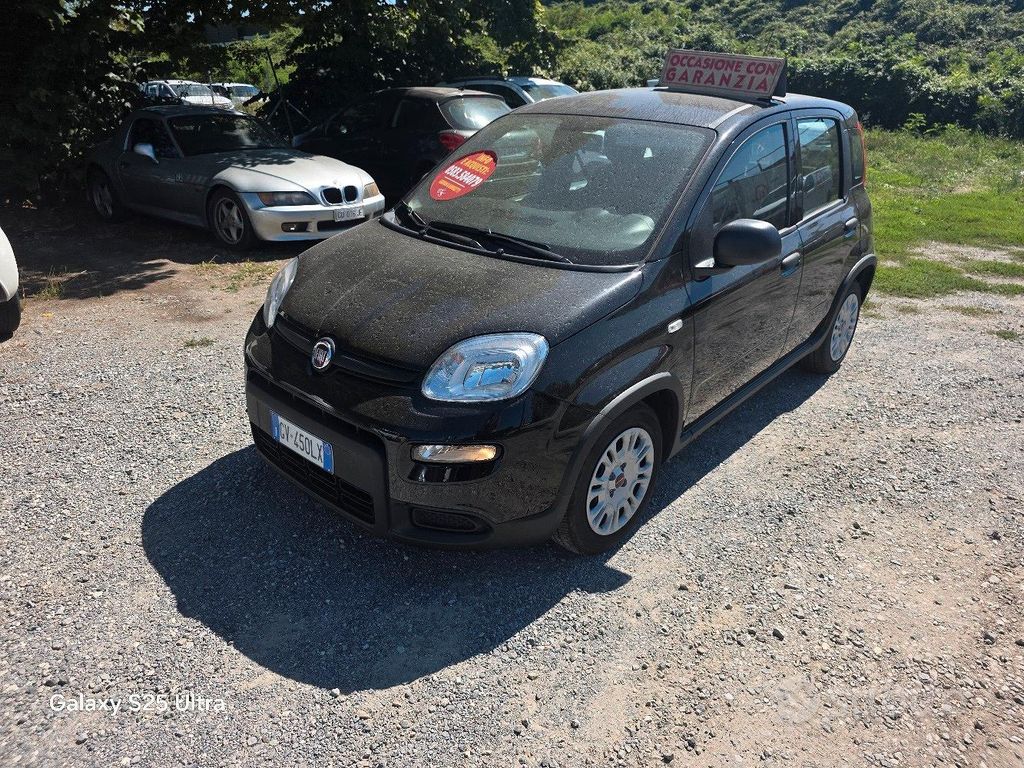 Image of Fiat Panda