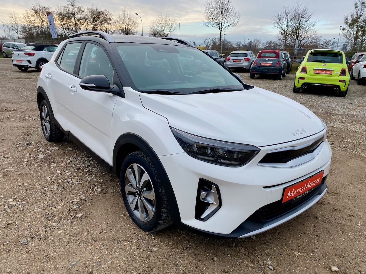Fahrzeugabbildung Kia Stonic 1.0 Mild Hybrid Vision AAC KAMERA ALU SHZ