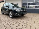 Volkswagen Tiguan Track & Field 4x4 Sitzheizung AHK - Volkswagen Tiguan: Track Field