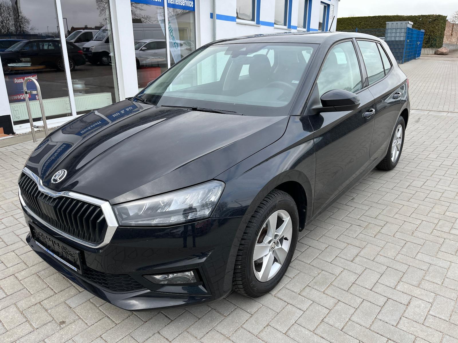 Skoda Fabia 1,0*Selection*5 Jahre Garantie/Klima/1.Hd.