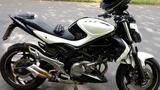 Suzuki Gladius SFV 650 - SUZUKI GLADIUS SFV 650