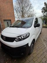 Fiat Scudo - Fiat Scudo in Hannover