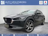 Mazda CX-30 "Selection" "DES-P" "ACT-P" 2.0l "BOSE" - Mazda CX-30 Gebrauchtwagen in Berlin